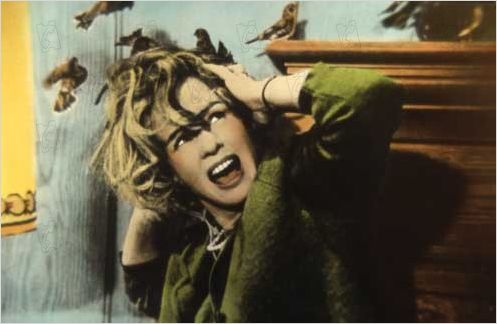 Les Oiseaux : photo Alfred Hitchcock, Tippi Hedren