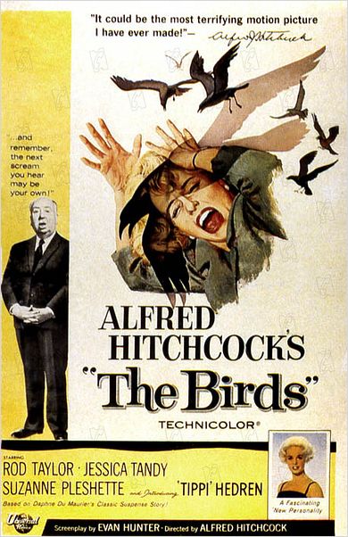 Les Oiseaux : photo Alfred Hitchcock