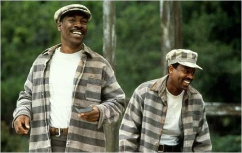 Perpète : photo Eddie Murphy, Martin Lawrence, Ted Demme