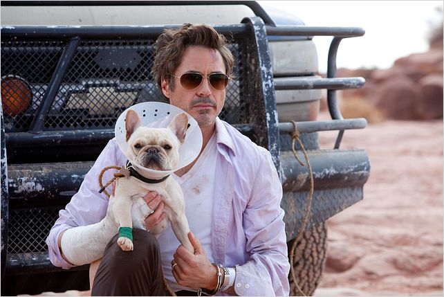 Date limite : Photo Robert Downey Jr., Todd Phillips