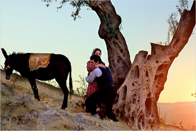 Almanya : photo Yasemin Şamdereli