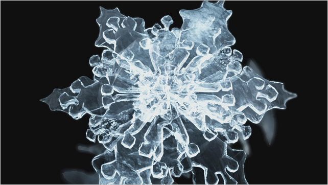 Water, le pouvoir secret de l’eau : photo