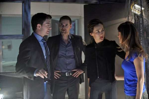 Nikita (2010)