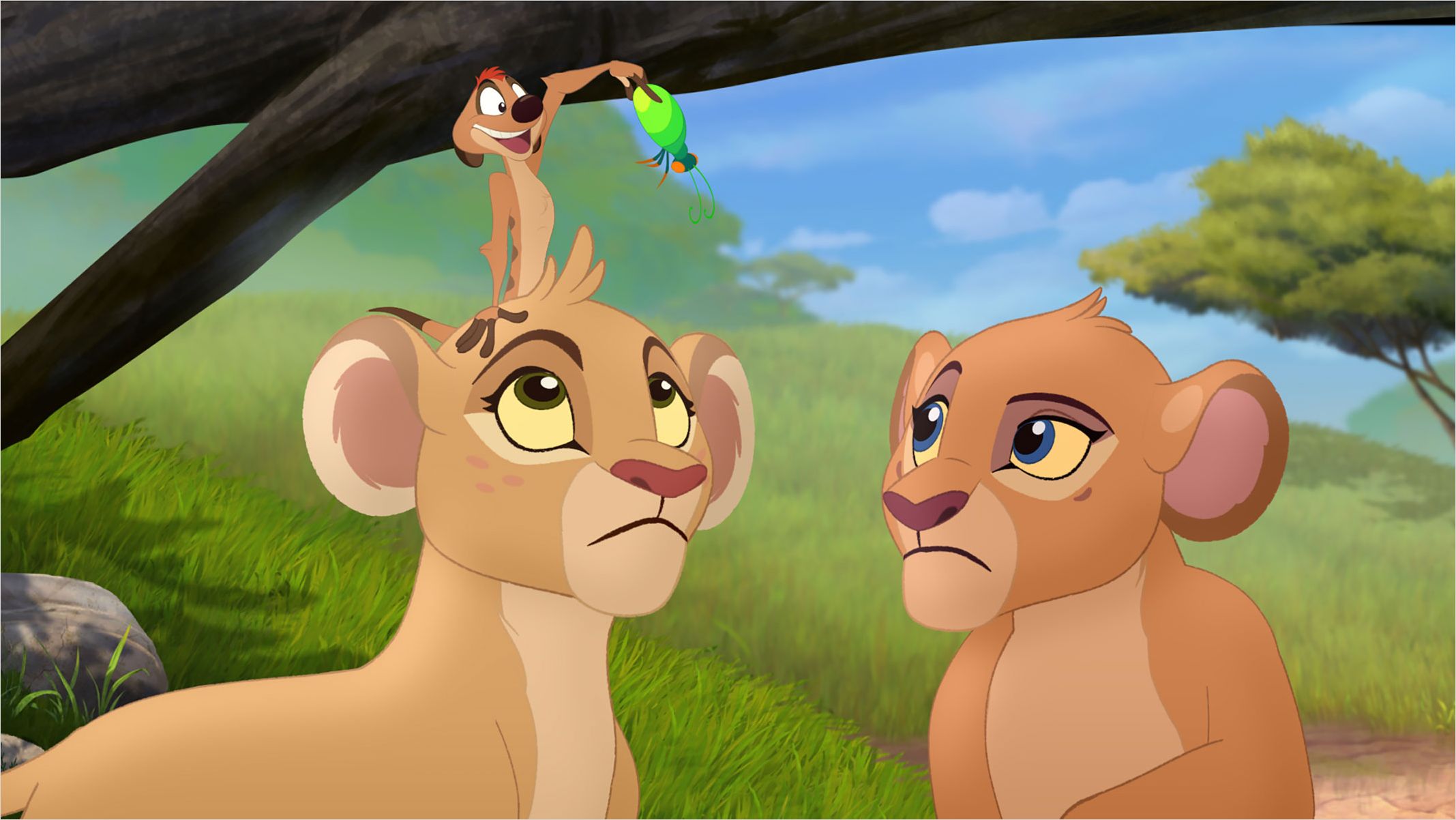La Garde Du Roi Lion Streaming Gratuit La Garde du Roi Lion en Streaming gratuit sans limite | YouWatch Séries