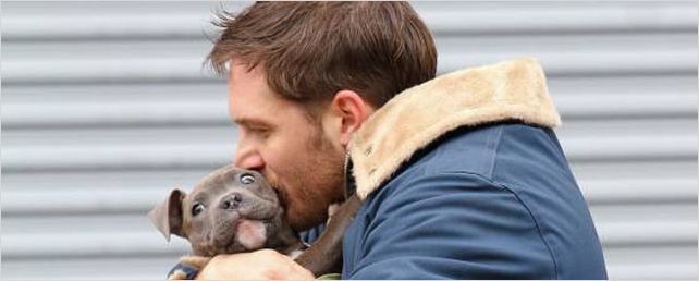 Tom Hardy et un chiot sur le tournage d'"Animal Rescue" ! [PHOTOS]