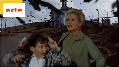 Les Oiseaux sur Arte : la terrifiante histoire vraie qui a inspiré le film d'Hitchcock
