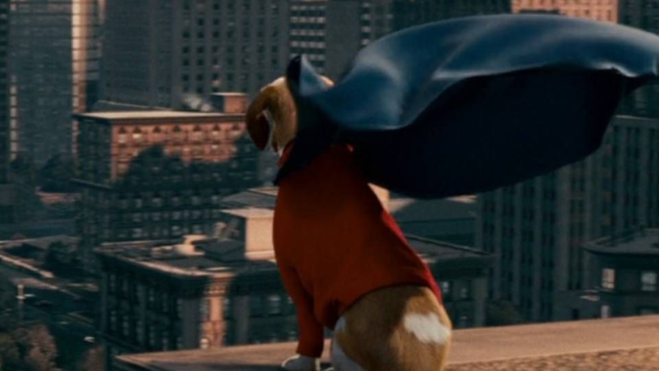 American Underdog Streaming Vf Trailer du film Underdog, chien volant non identifié - Underdog, chien