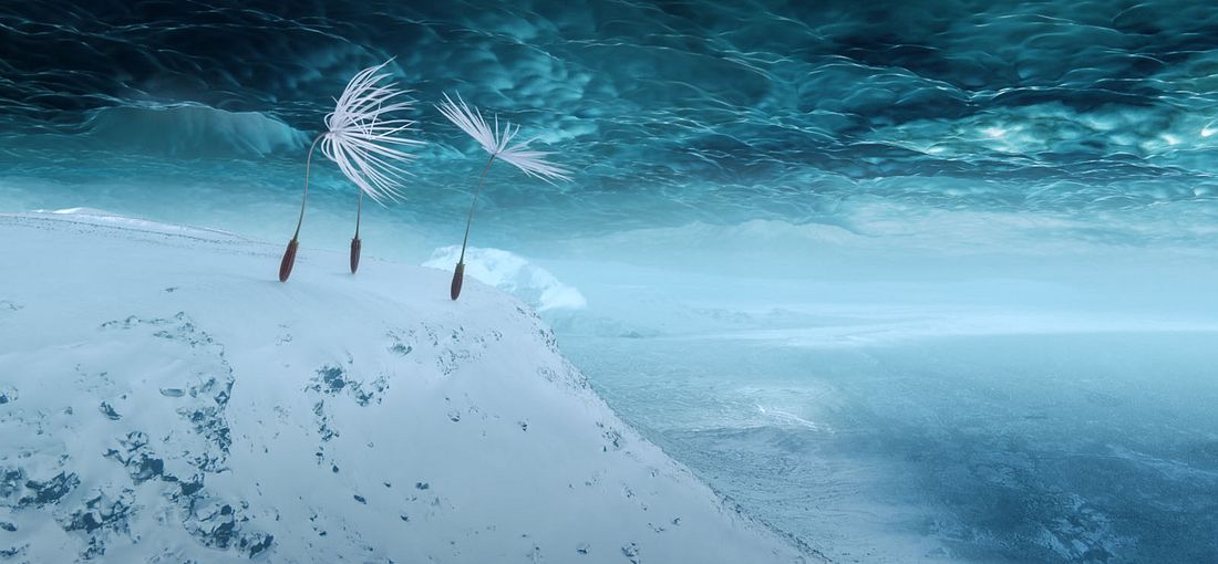 Photo du film Planètes