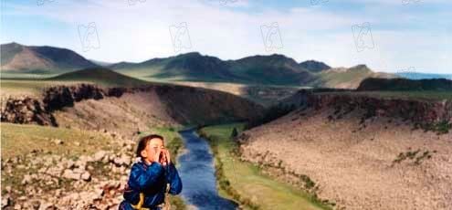 Photo du film Le chien jaune de Mongolie