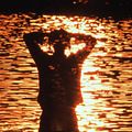 Photo Saul Williams