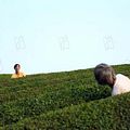 Photo Shigeki Uda