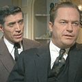 Photo Roger Corman
