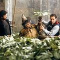Photo Miriam Margolyes