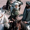 Photo Maryam D'Abo