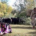 Photo Jamyang Lodro