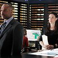 Photo Claire Forlani