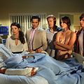 Photo Trevor Donovan