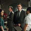 Photo Owain Yeoman