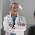 Photo Gregory Harrison