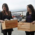 Photo Shelley Hennig