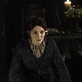 Photo Michelle Fairley