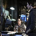 Photo Austin Basis