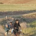 Photo Tewfik Jallab