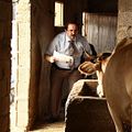 Photo Burak Satıbol