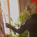 Photo Neve McIntosh
