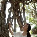 Photo Miyuki Matsuda