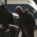 Photo Kaaris