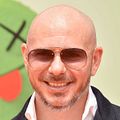Photo  Pitbull