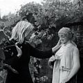 Photo Marianne Ihlen