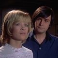 Photo Judy Geeson