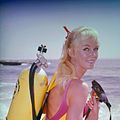Photo Valerie Taylor