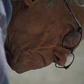 Photo Christo