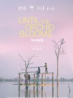 poster de Until The Orchid Blooms