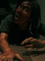 poster de Vietnamese Horror Story