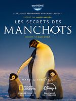 image de Les Secrets des manchots