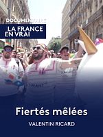 poster de Fiertés Mêlées