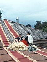 poster de Les Enfants de Popodia