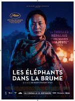 poster de Les Elephants dans la brume