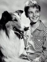 Lassie