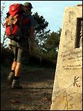 poster de Zu Fuss nach Santiago de Compostela