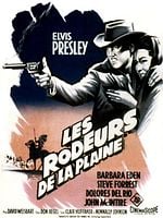poster de Les Rôdeurs de la plaine
