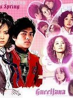 image de A million stars falling from the sky