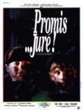 poster de Promis... juré !