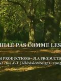 poster de Une Famille pas comme les autres