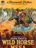 poster de Wild Horse Mesa
