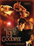 poster de Between Love & Goodbye